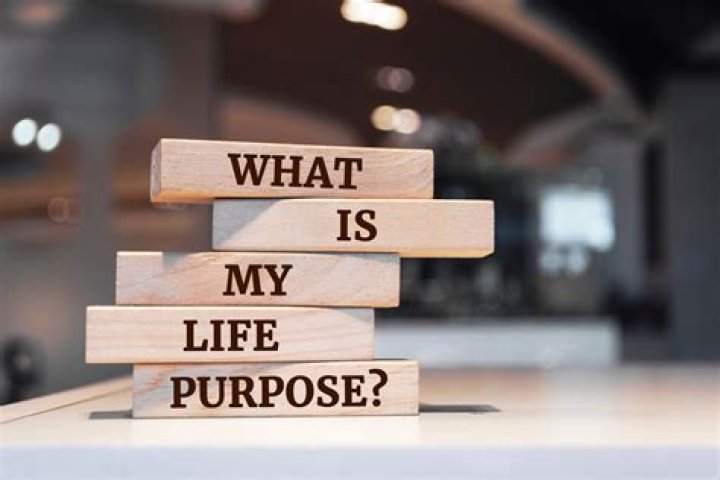 What is the purpose of home insurance?