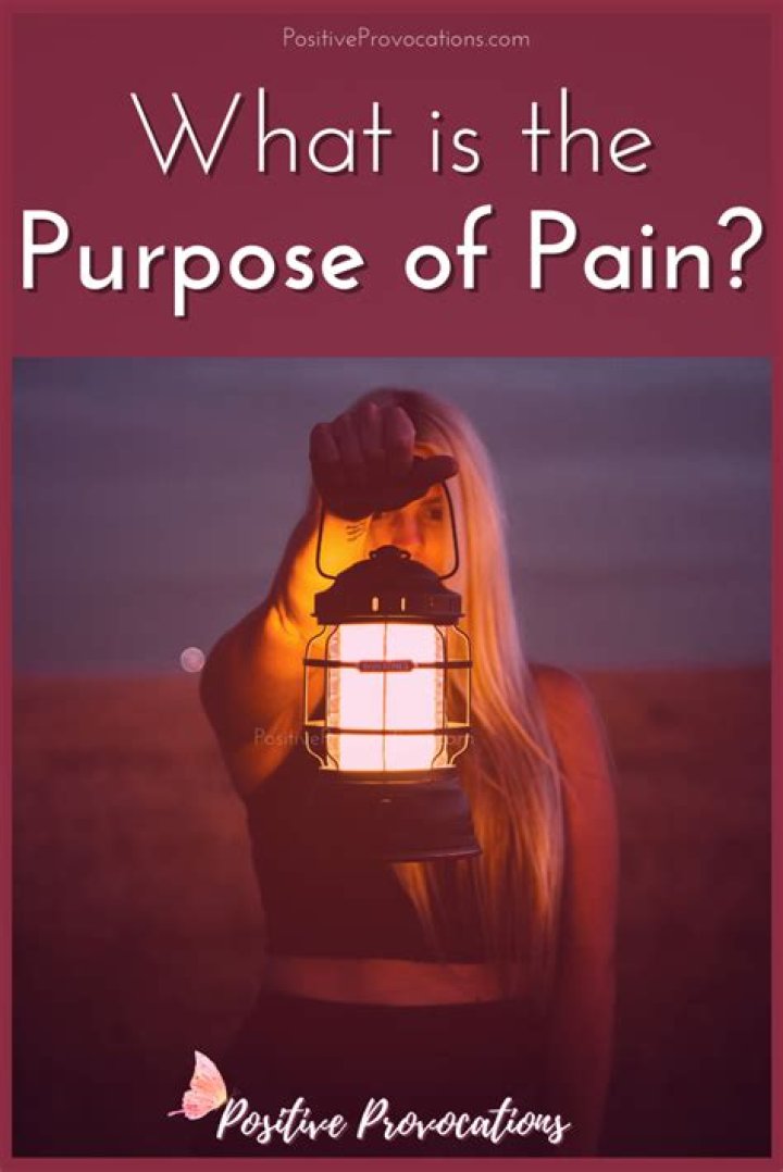 What is the purpose of pain and suffering?