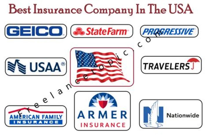 What is the top insurance company in the United States?