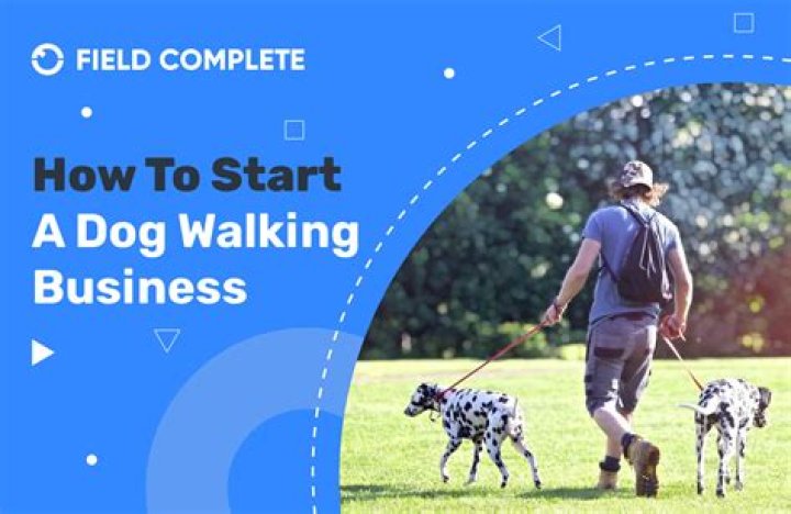 What kind of insurance do I need to start a dog walking business?