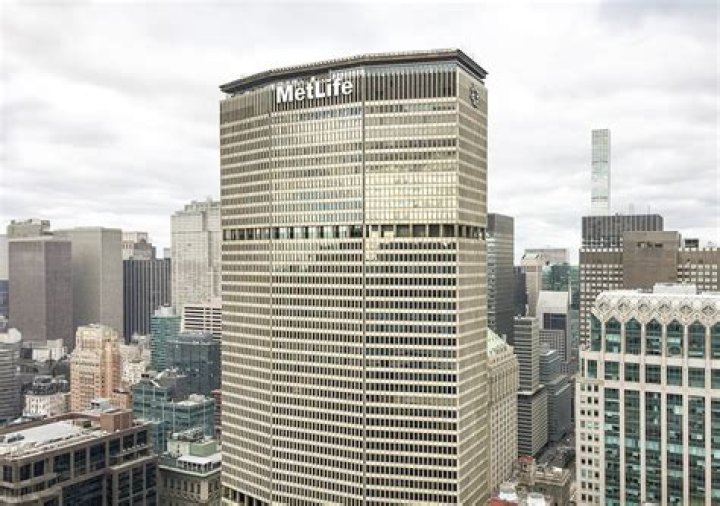 What MetLife means?