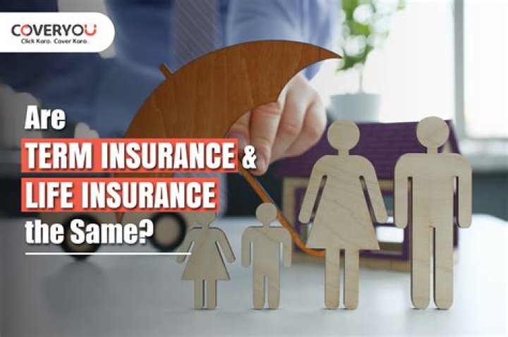 What term insurance means?