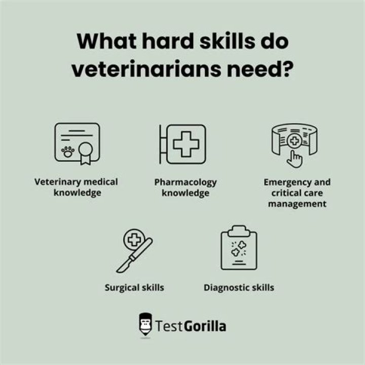 What type of insurance should a veterinarian have?
