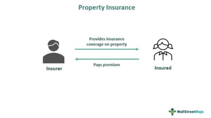 What type of losses are covered by an insurance?