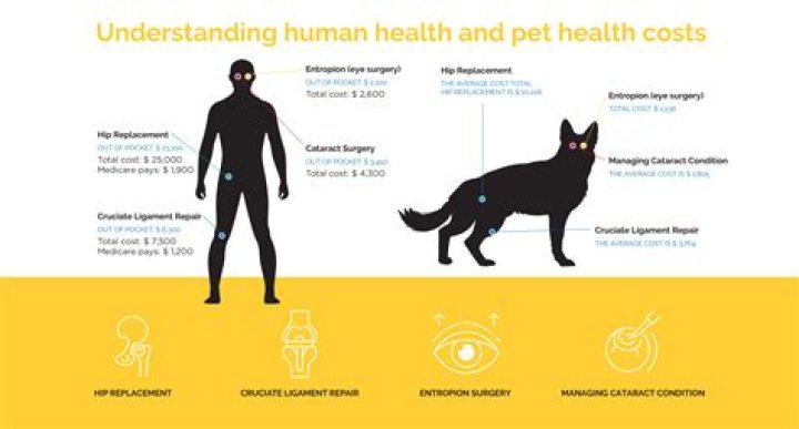 When did pet healthcare start?