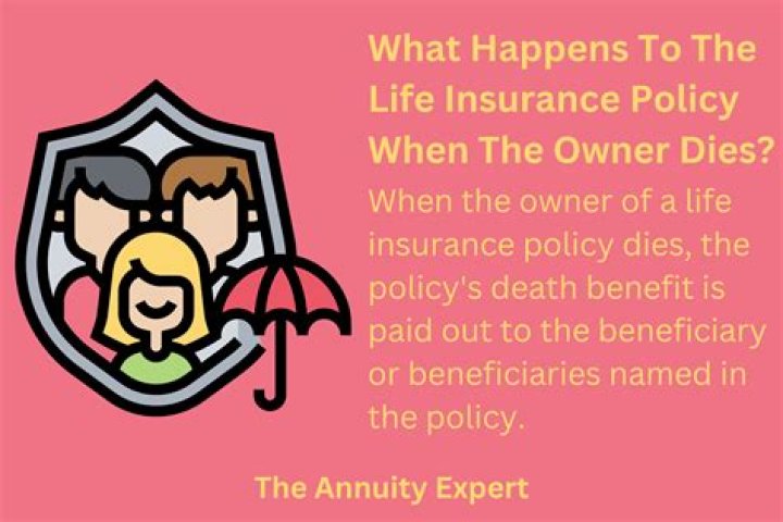When the owner of a life insurance policy dies?