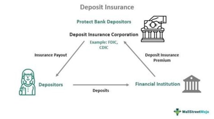 When was deposit insurance introduced?