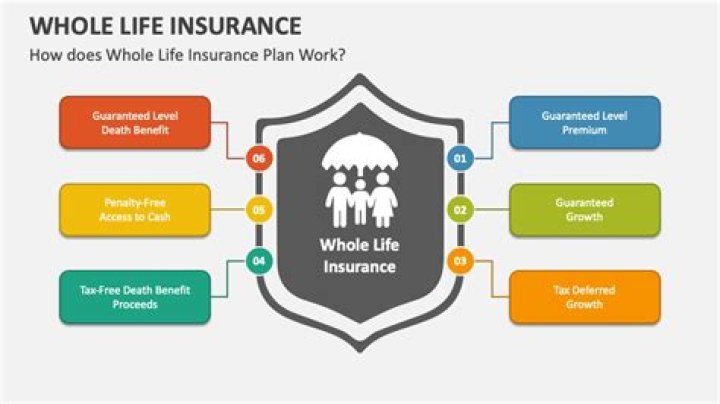 Where can I find an old life insurance policy?