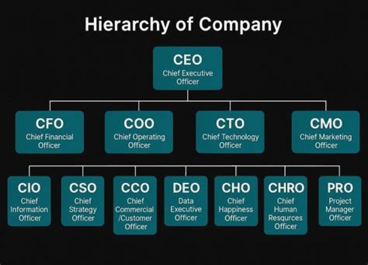 Where do chief executive officers work?
