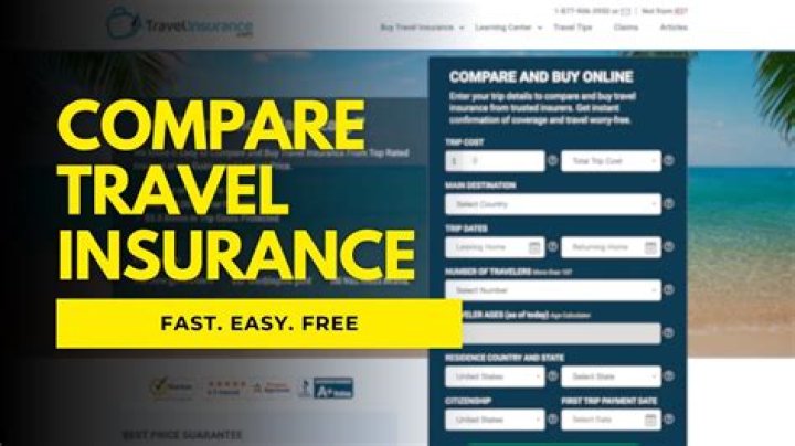 Which company is best for travel insurance?