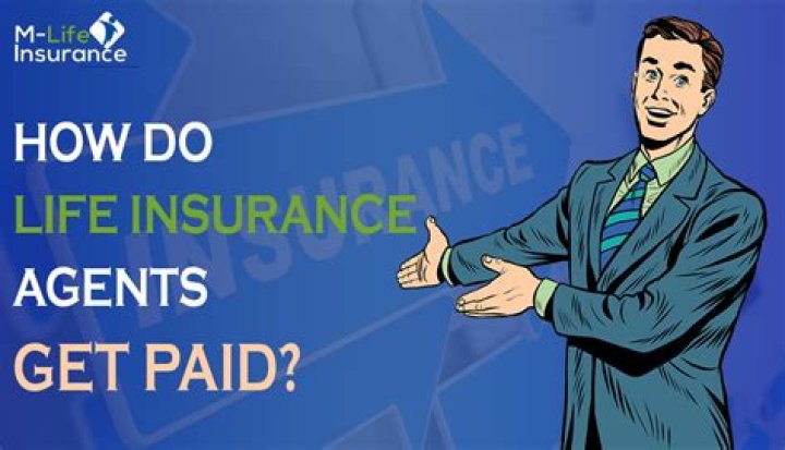 Which insurance agents get paid the most?