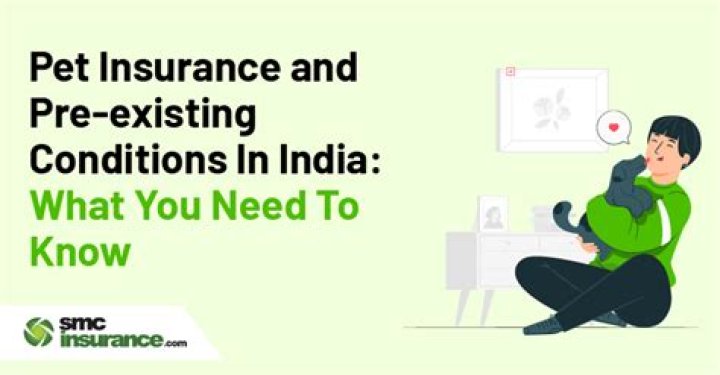 Which insurance covers pre-existing conditions India?