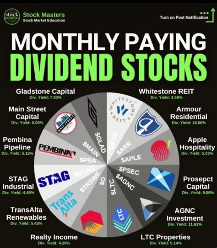 Which type of insurance company pays dividends to its stockholders?