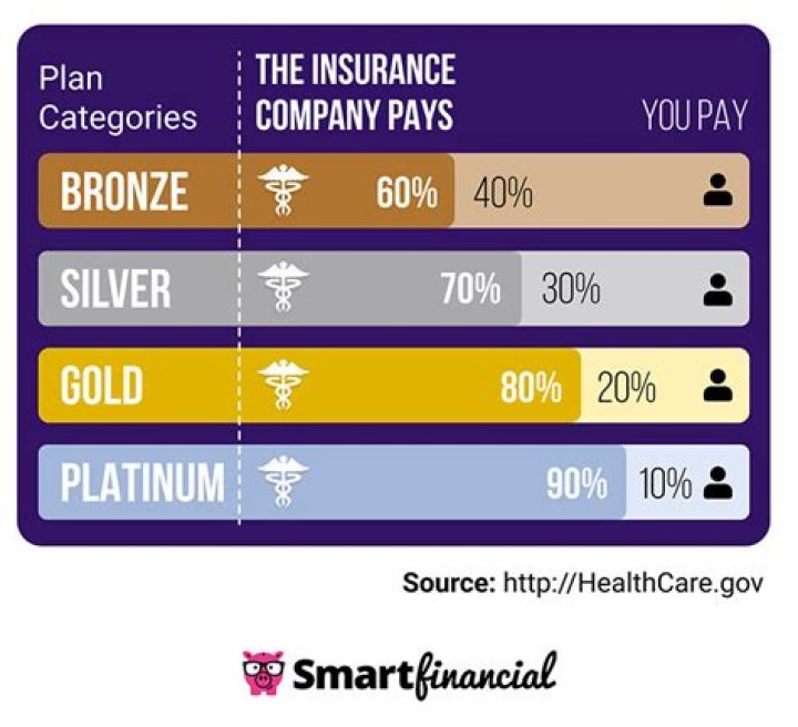 Which type of insurance is sometimes called temporary insurance Brainly?