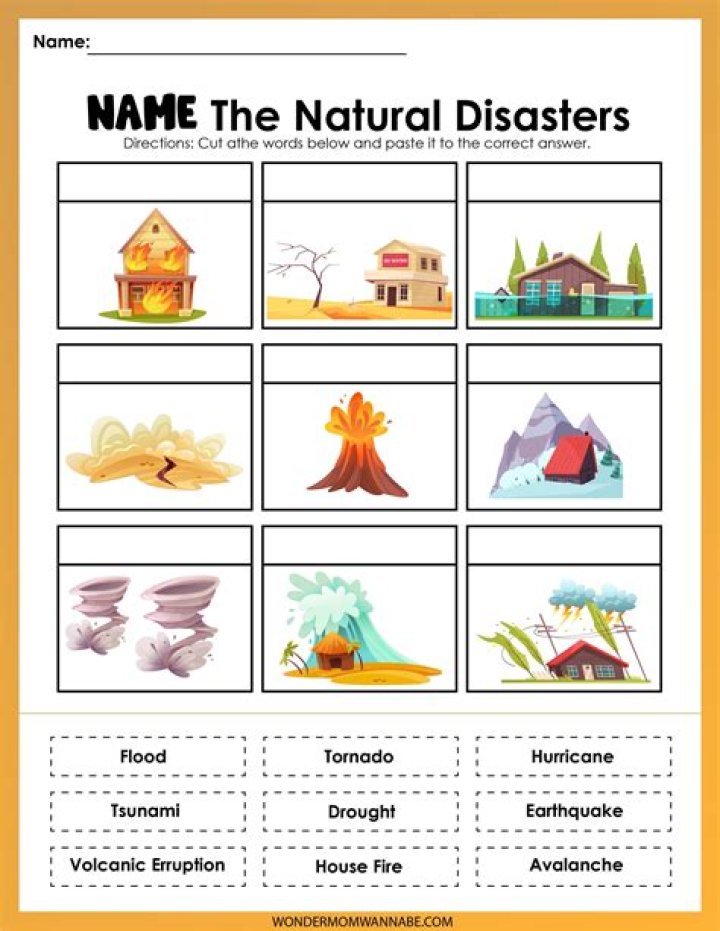 Which type of insurance provided you with coverage if you suffer from theft or natural disaster?