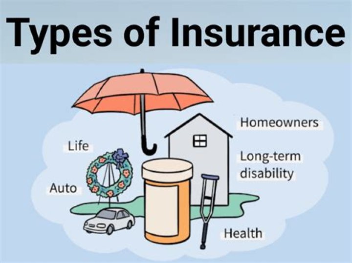 Which type of insurance replaces income if you have a long term illness or injury and Cannot work?
