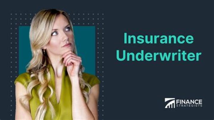 Who are the main insurance underwriters?