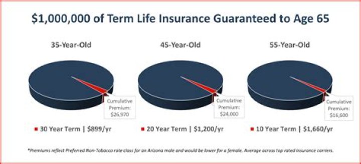 Who bought Life Insurance Company of Virginia?
