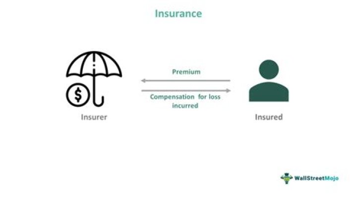 Who can be excluded as an insured?