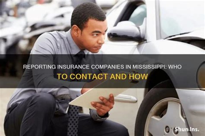 Who do you report insurance companies to?