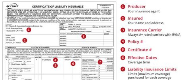 Who is the carrier in an insurance claim?