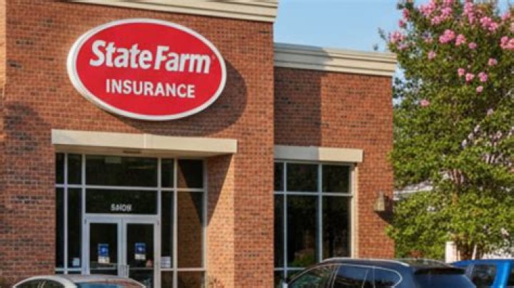 Who owns State Farm mutual car insurance?