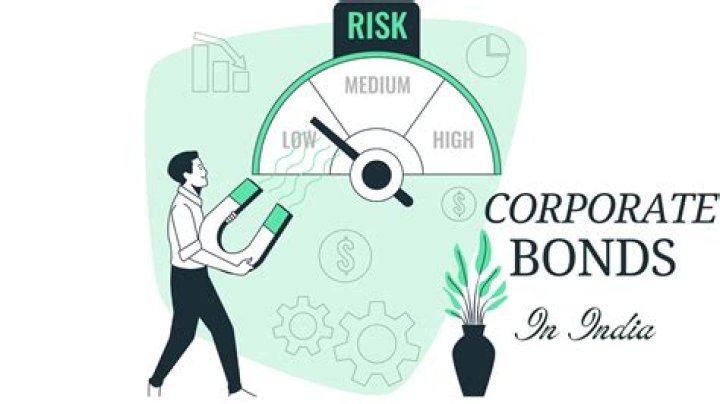 Why are corporate bonds high risk?
