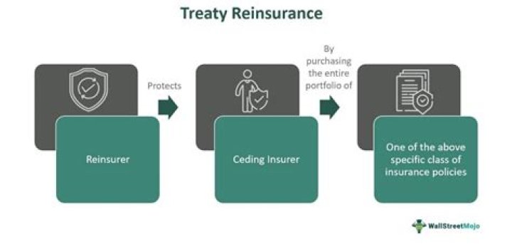 Why did Germany not renew the Reinsurance Treaty?