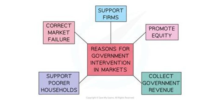 Why does the government offer insurance?