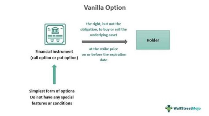 Why is it called vanilla options?
