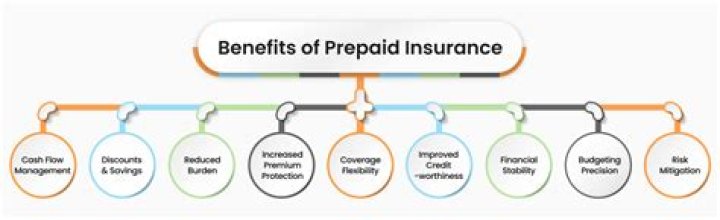 Why is prepaid insurance considered an asset?