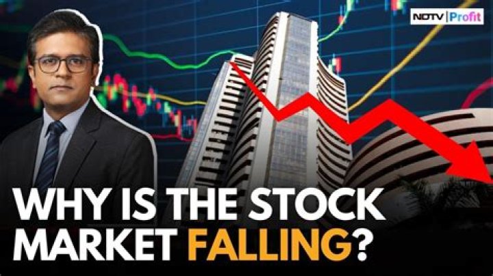 Why is the stock market the most leading indicator?
