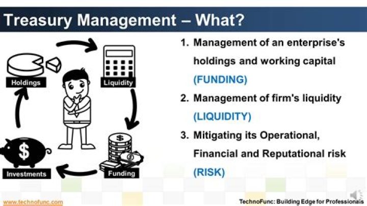 Why is treasury management important?