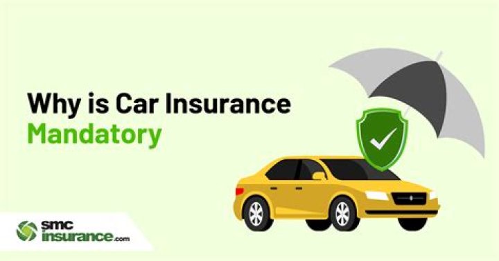 Why is vehicle insurance mandatory?