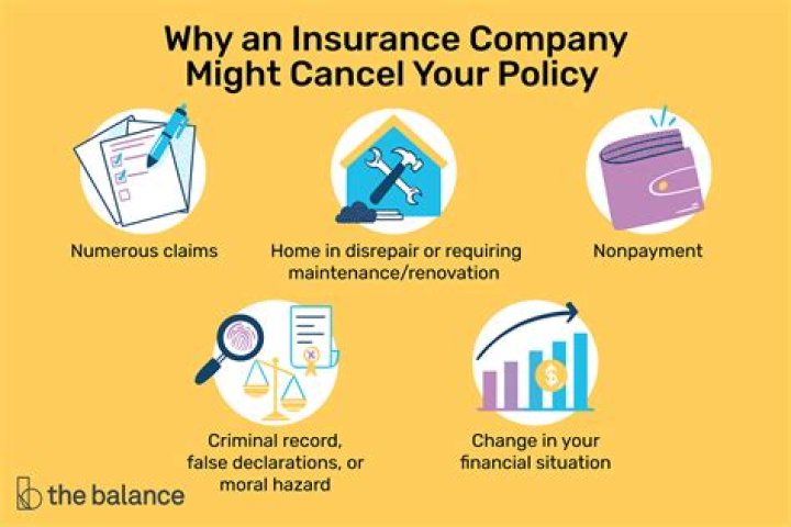 Why would my insurance company cancel my policy?